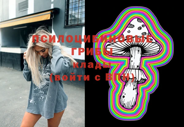spice Балахна
